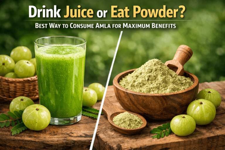Drink Juice or Eat Powder? Best Way to Consume Amla for Maximum Benefits