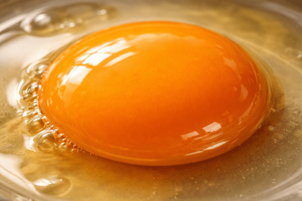 Eggs for Muscle: “Eggs rich in protein and nutrients for daily health”
